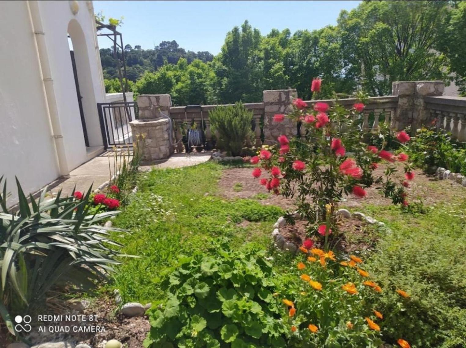 Apartmani Jovanovic Petrovac エクステリア 写真