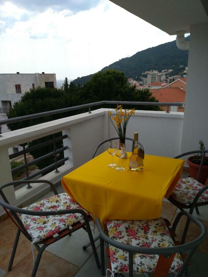 Apartmani Jovanovic Petrovac エクステリア 写真