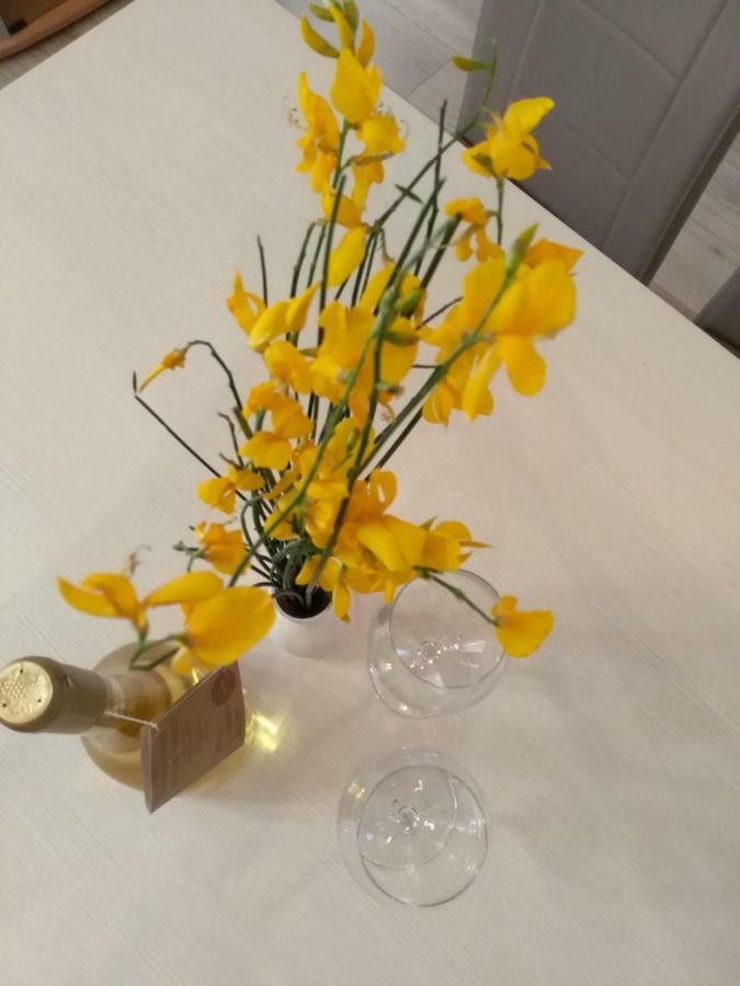 Apartmani Jovanovic Petrovac エクステリア 写真